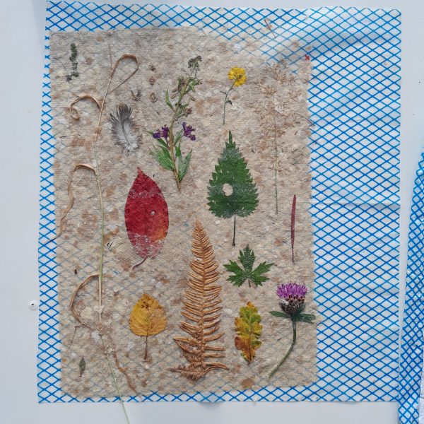 Upcycled Papermaking - Image 2