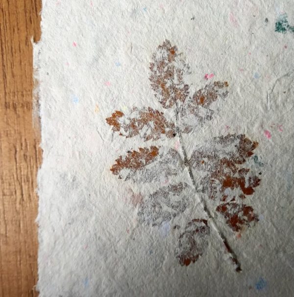 Upcycled Papermaking - Image 5