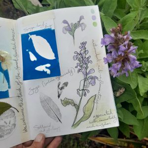 Nature Journal Club: November - April
